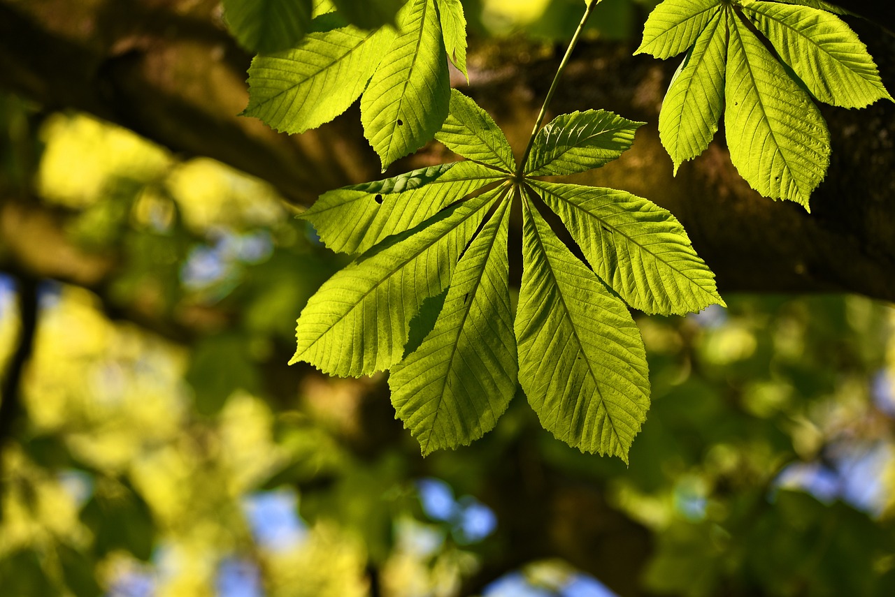 Getting Arty: Leaf Painting Crafts for the Kids